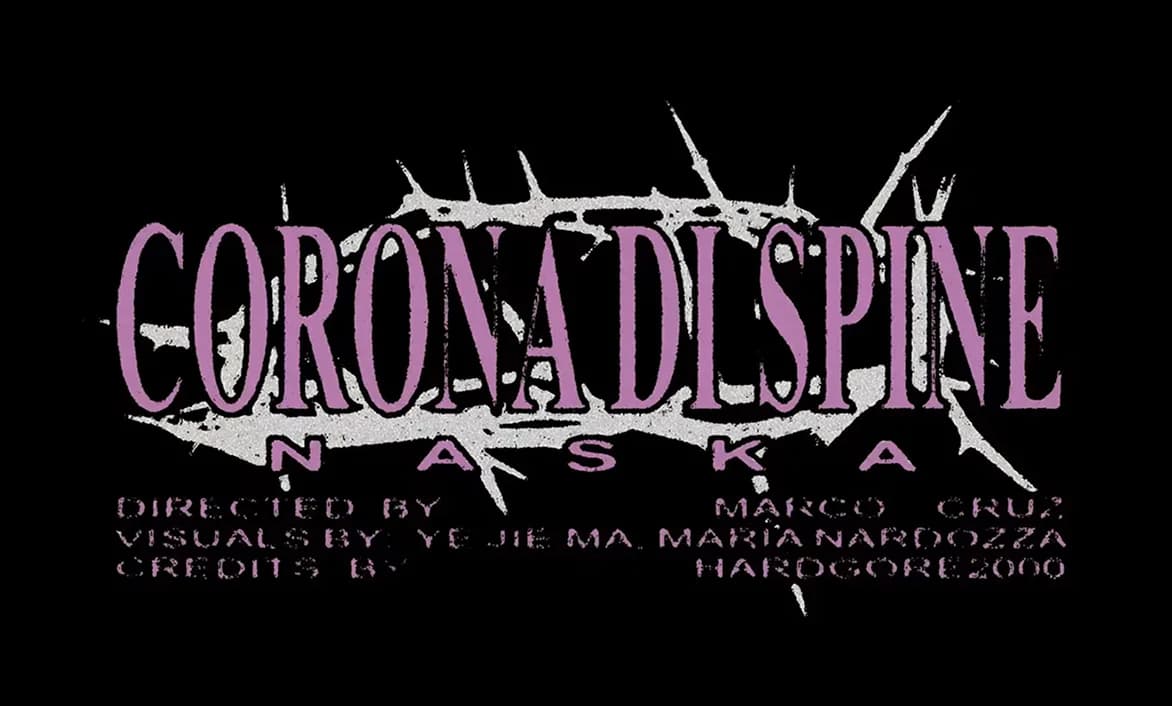 [2] NASKA: CORONA DI SPINE